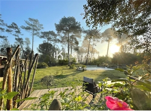 propriete à la vente -   33114  LE BARP, surface 203 m2 vente propriete - UBI474130883